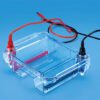 Midi Submarine Electrophoresis Unit - Image 2