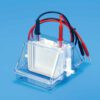 Mini Dual Vertical Electrophoresis Unit - Image 2