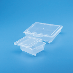 Staining Box